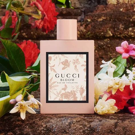 bloom perfume gucci review|Gucci Bloom smells like.